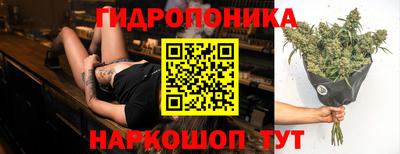 apvp Беслан