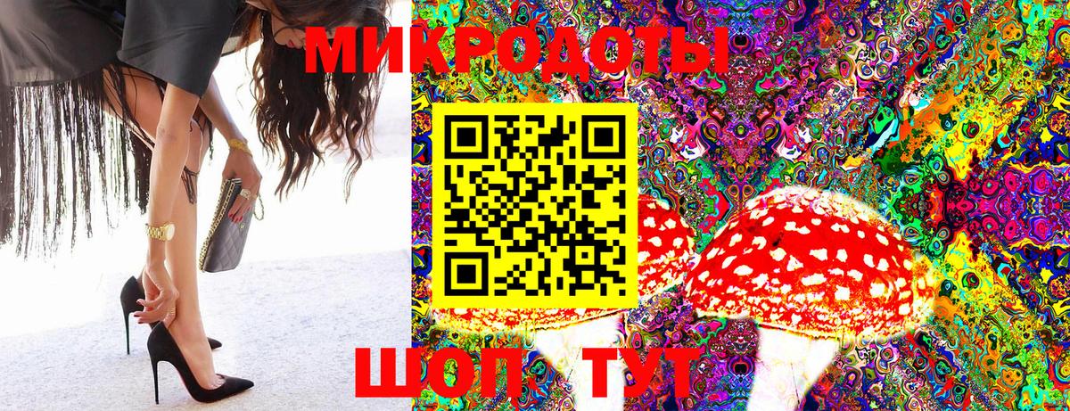 Галлюциногенные грибы Magic Shrooms  дарнет шоп  Кисловодск  Вход с VPN 